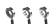 Aureola Inifinity